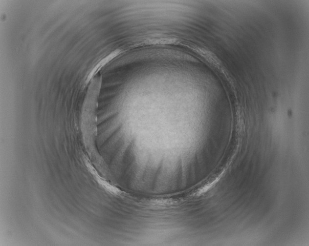 X0000053080889200508012003