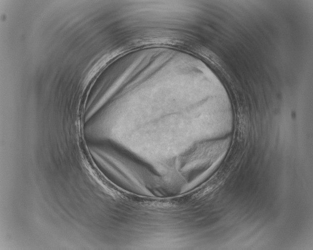 X0000053080890200508012003