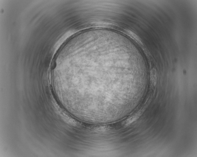 X0000053080891200508012003