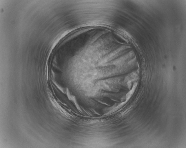 X0000053080892200508012003