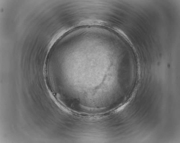 X0000053080893200508012003