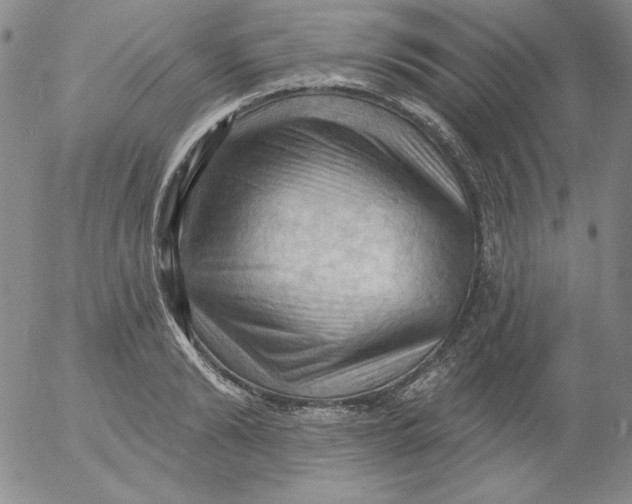 X0000053080894200508012003