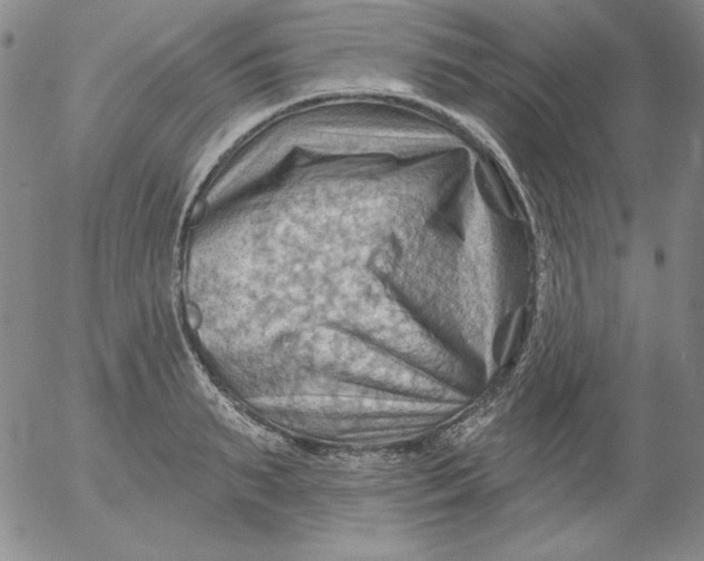 X0000053080895200508012003