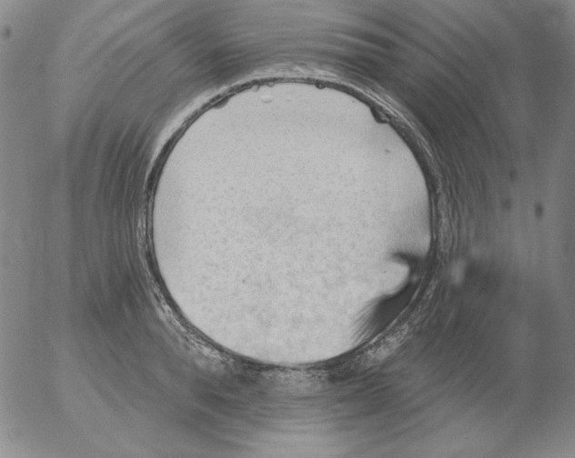 X0000053080896200508012003