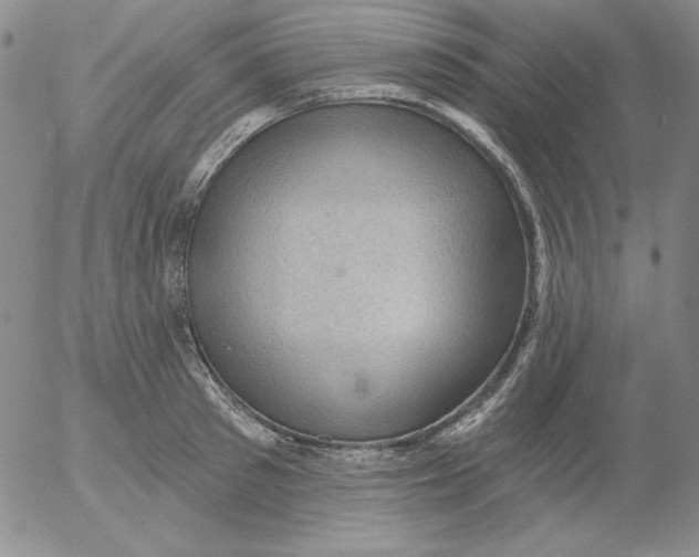 X0000053080897200508012003