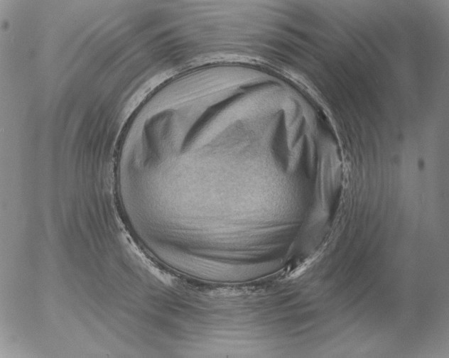 X0000053080898200508012003