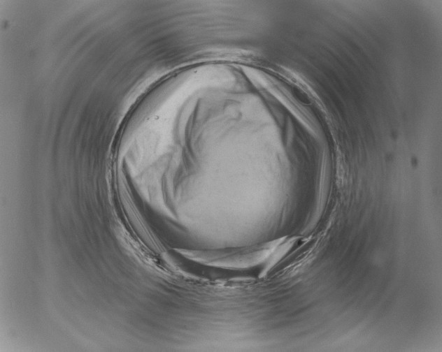 X0000053080899200508012003