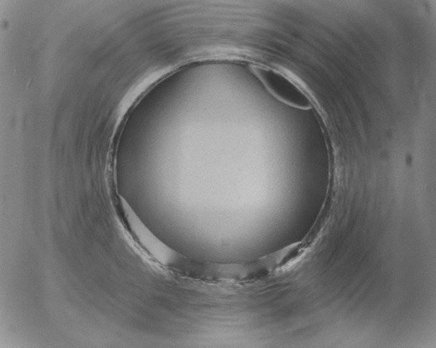 X0000053080901200508012003