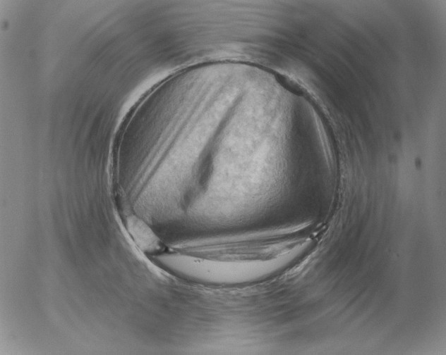 X0000053080902200508012003