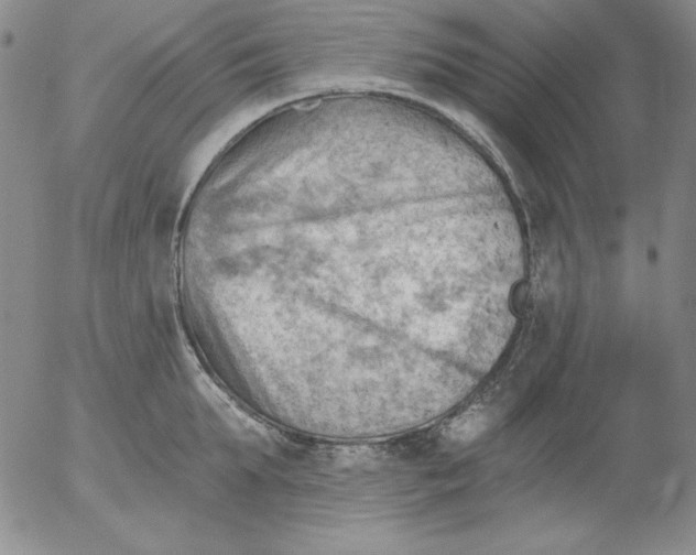 X0000053080903200508012003