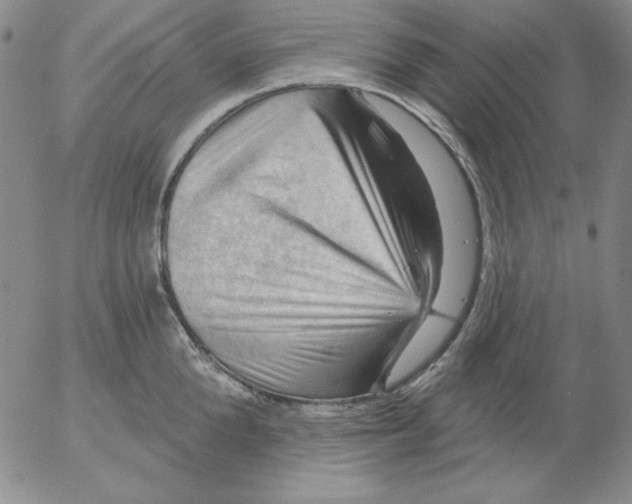 X0000053080904200508012003