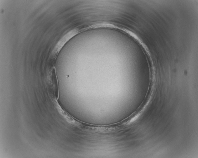 X0000053080905200508012003