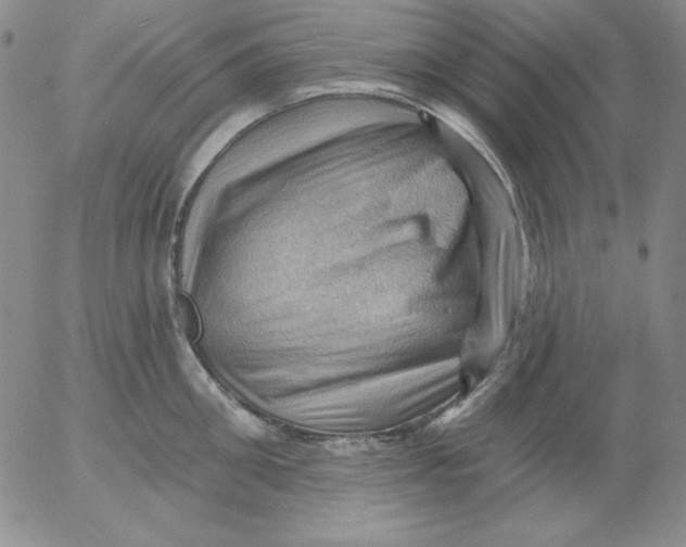 X0000053080906200508012003