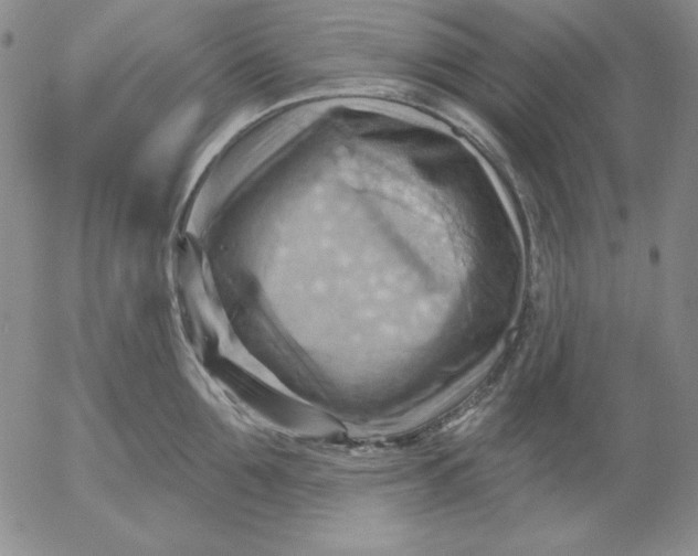 X0000053080907200508012003