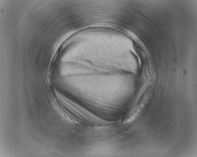 X0000053080908200508012003