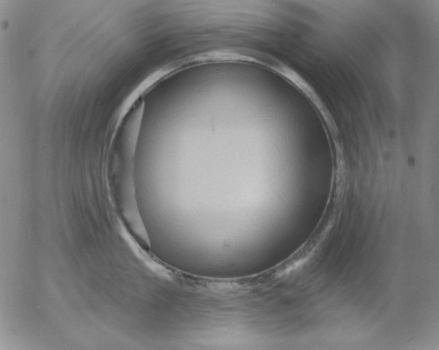 X0000053080909200508012003