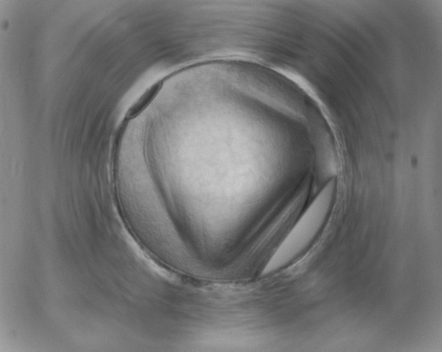 X0000053080910200508012003