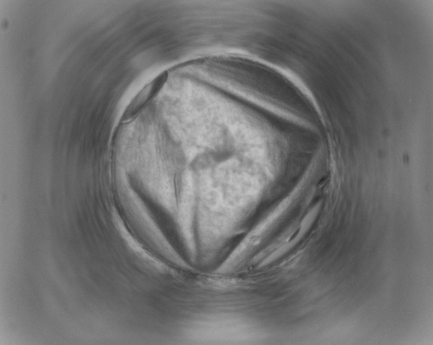 X0000053080911200508012003