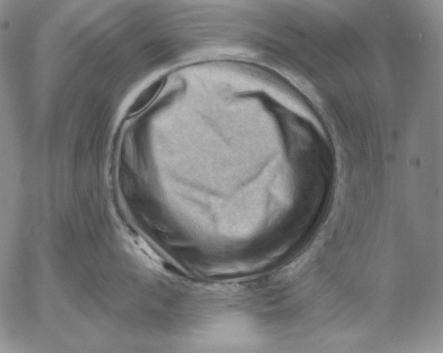 X0000053080912200508012003