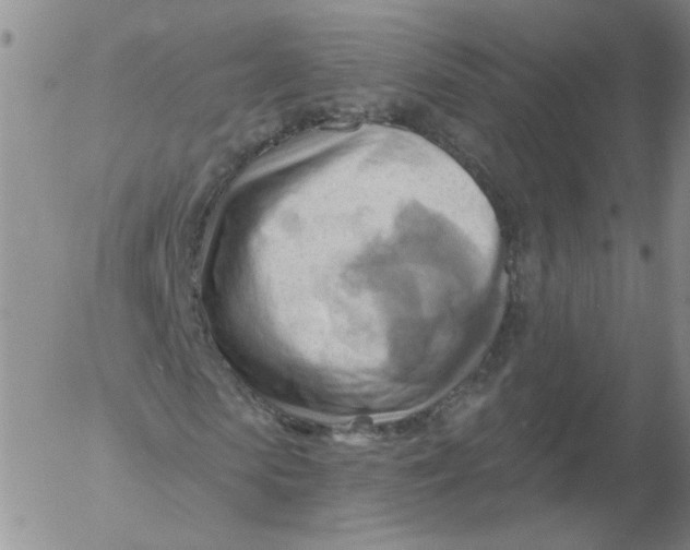 X0000053080913200508012002