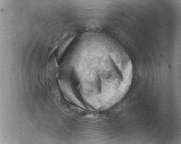 X0000053080914200508012002