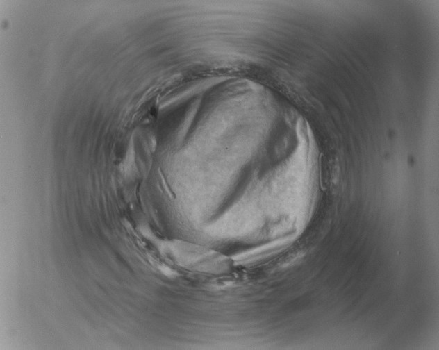 X0000053080916200508012002