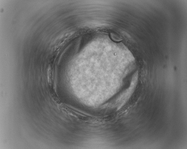 X0000053080917200508012002