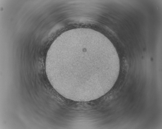 X0000053080918200508012002