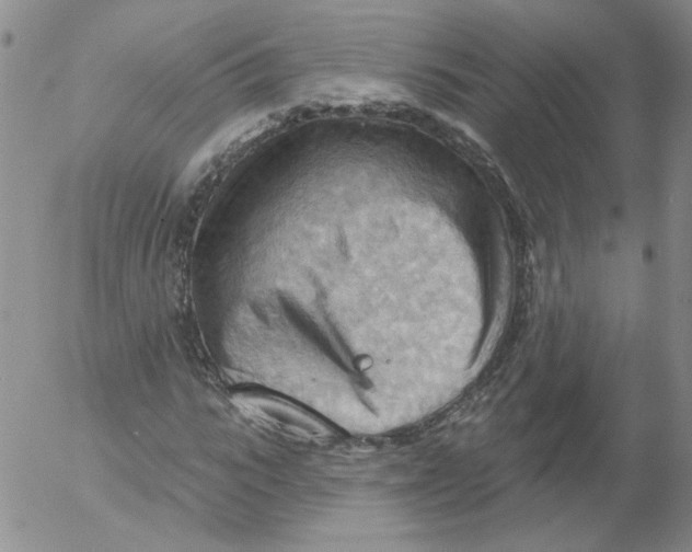 X0000053080919200508012002