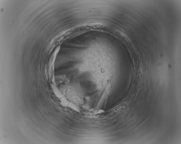 X0000053080920200508012002