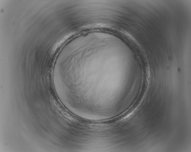 X0000053080921200508012002