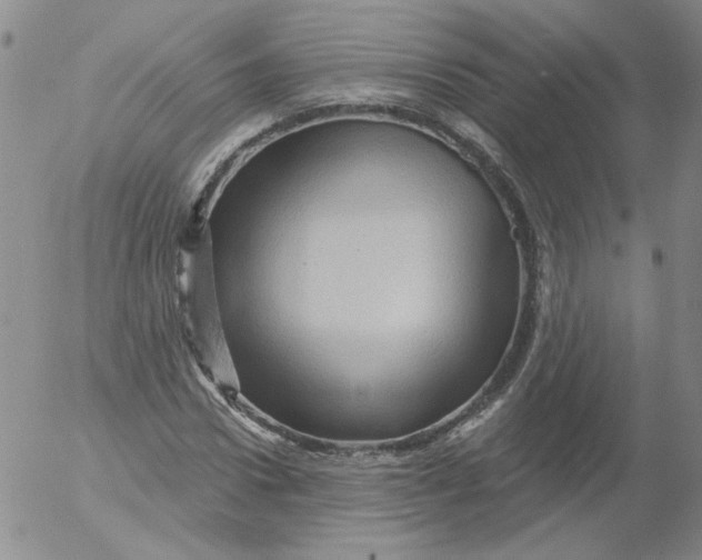 X0000053080922200508012002