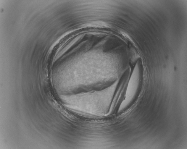 X0000053080923200508012002