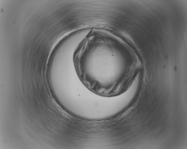 X0000053080924200508012002