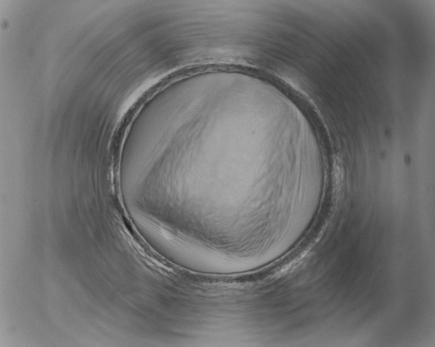 X0000053080925200508012002