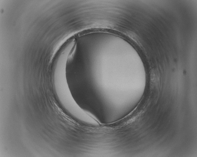 X0000053080926200508012002