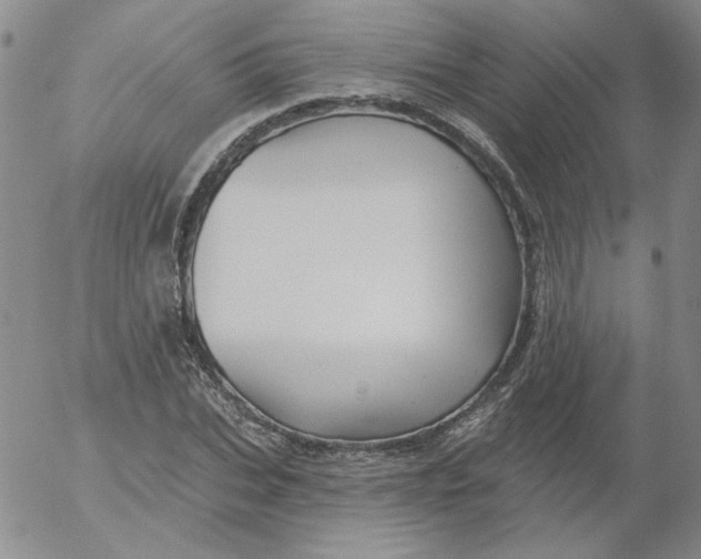 X0000053080927200508012002