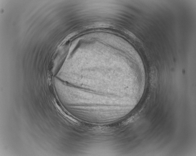 X0000053080929200508012002