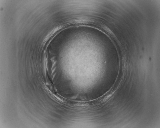 X0000053080930200508012002