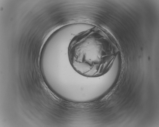 X0000053080932200508012002