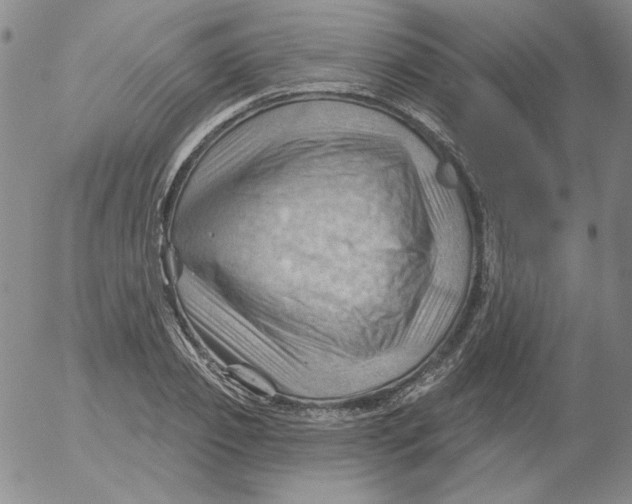 X0000053080933200508012002