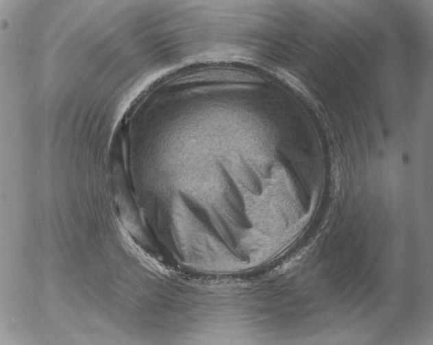 X0000053080934200508012002