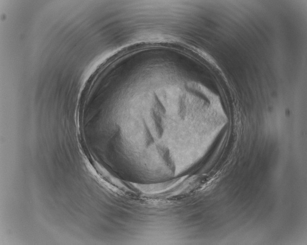 X0000053080935200508012002