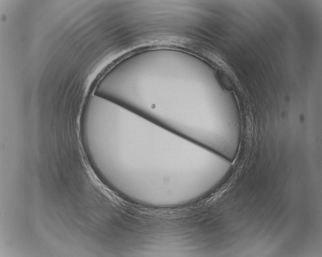 X0000053080936200508012002