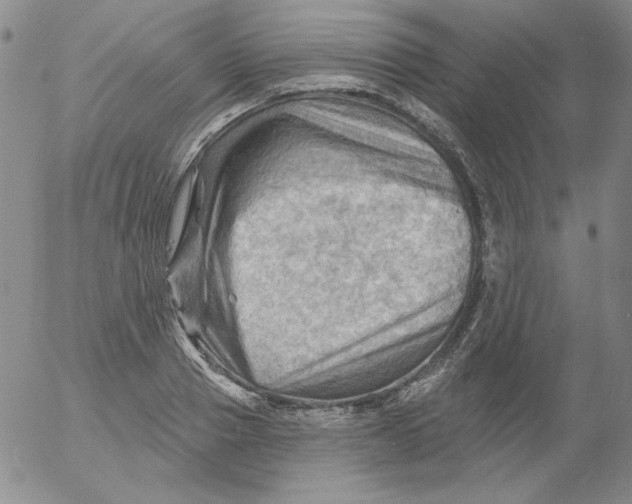 X0000053080937200508012002