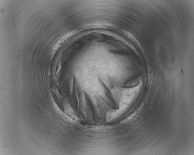 X0000053080938200508012002