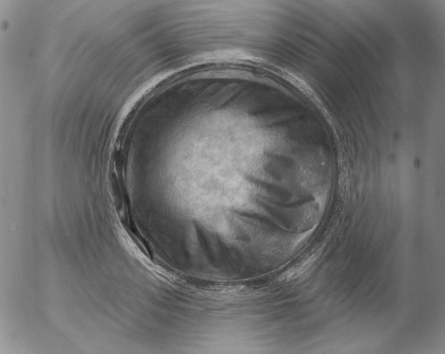 X0000053080939200508012002