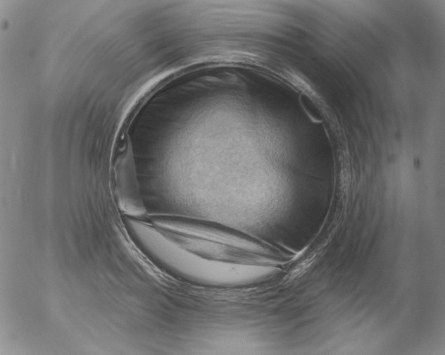 X0000053080940200508012002