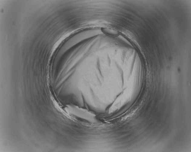 X0000053080941200508012002