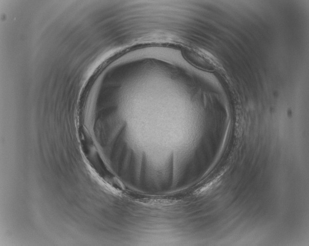 X0000053080942200508012002